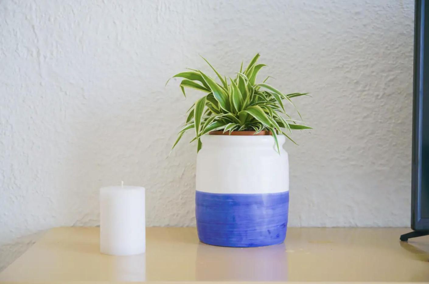 Iodio Studio - Cozy Home With Pool イスキア島 エクステリア 写真